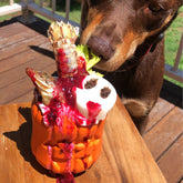 Jack O' Lantern-Dog Toy-Rover Pet Products